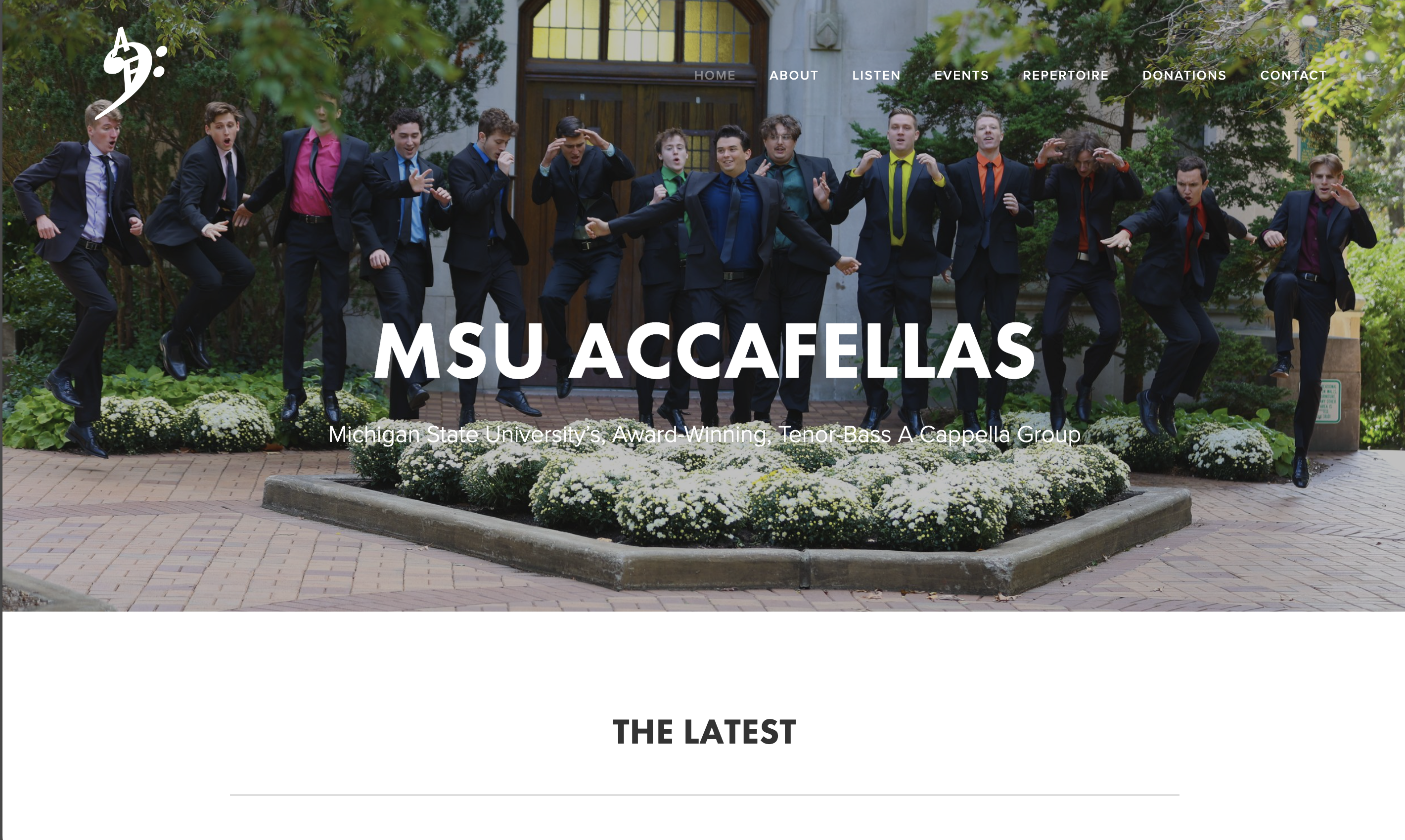 Michigan State Accafellas